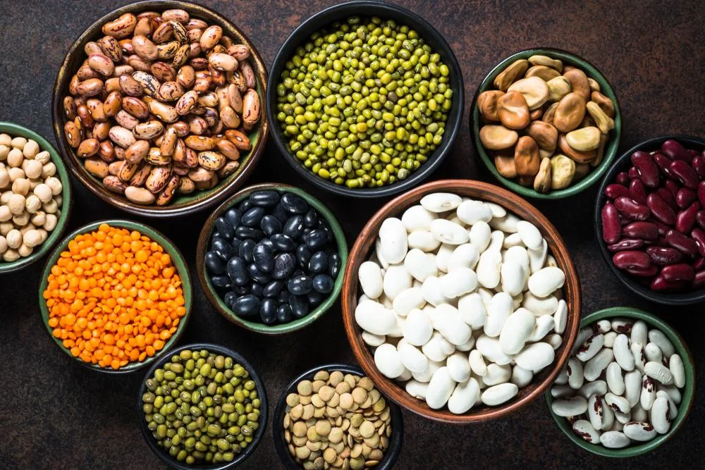 Beans take top spot for plant-based fat-burning foods.