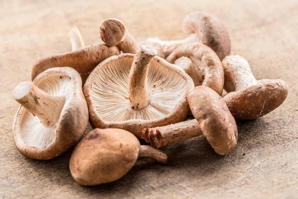Mushrooms are a rich source of vitamin D.