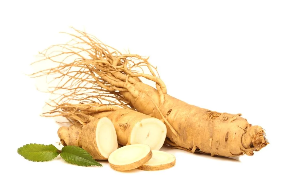 Fat burning becomes easier with ginseng on the plate.