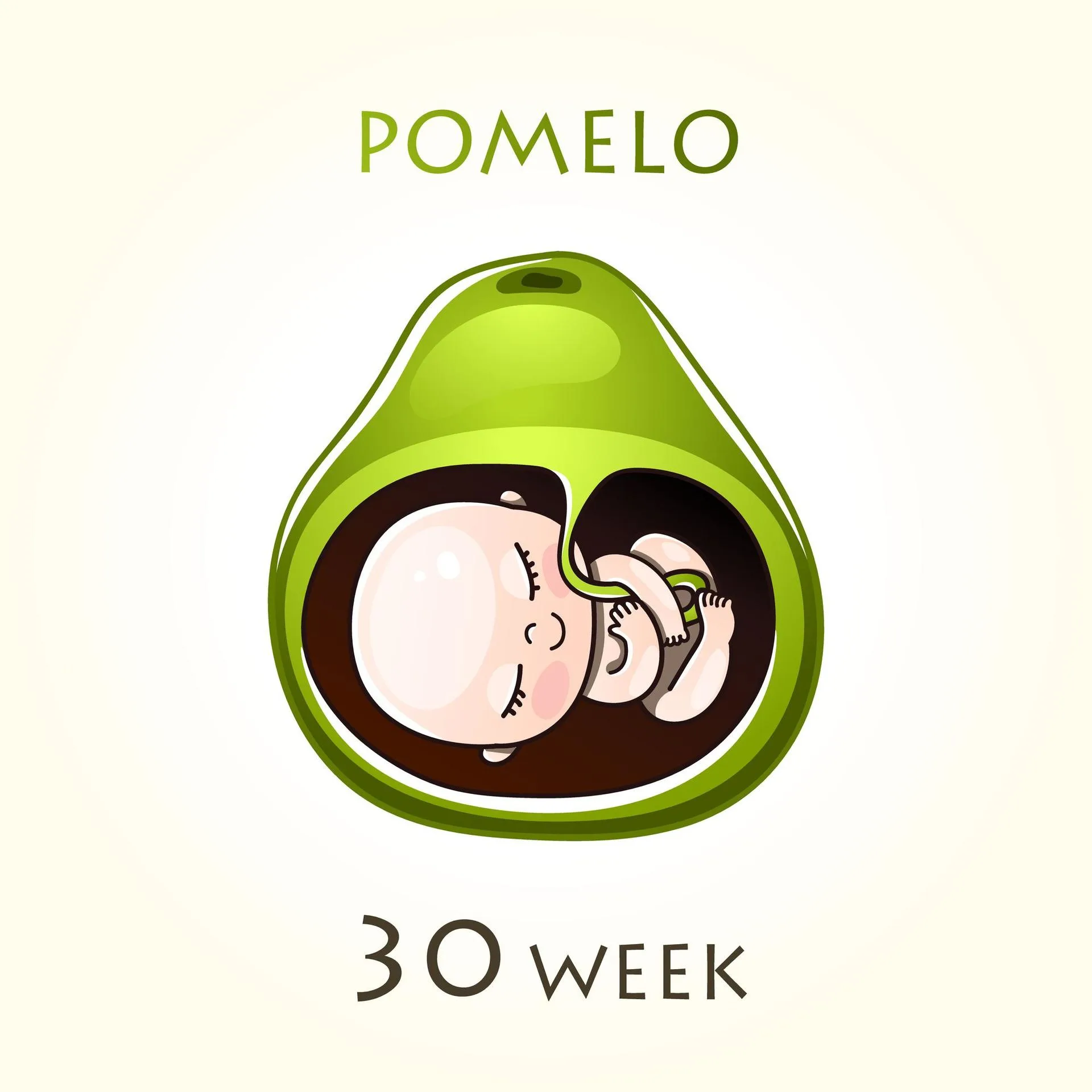 30 Weeks baby size