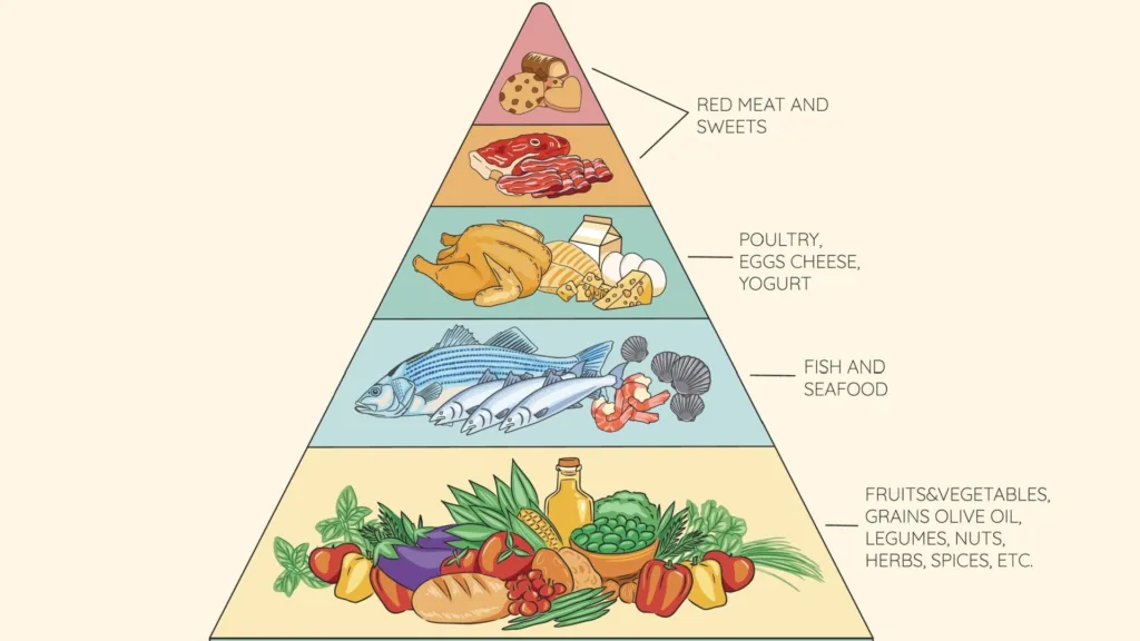 food pyramid