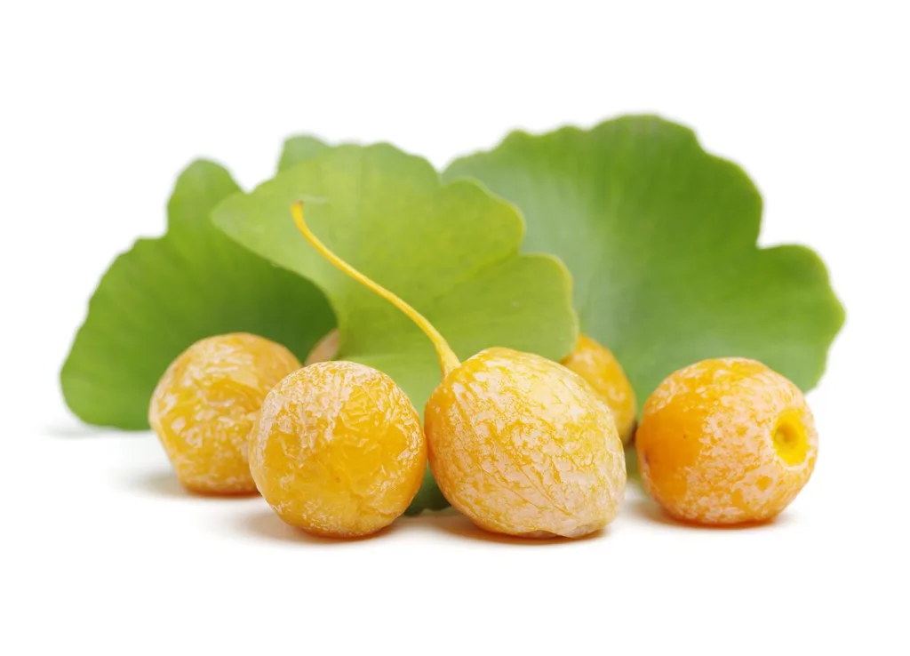 Ginkgo Biloba: The Ancient Remedy That Boosts Your Health