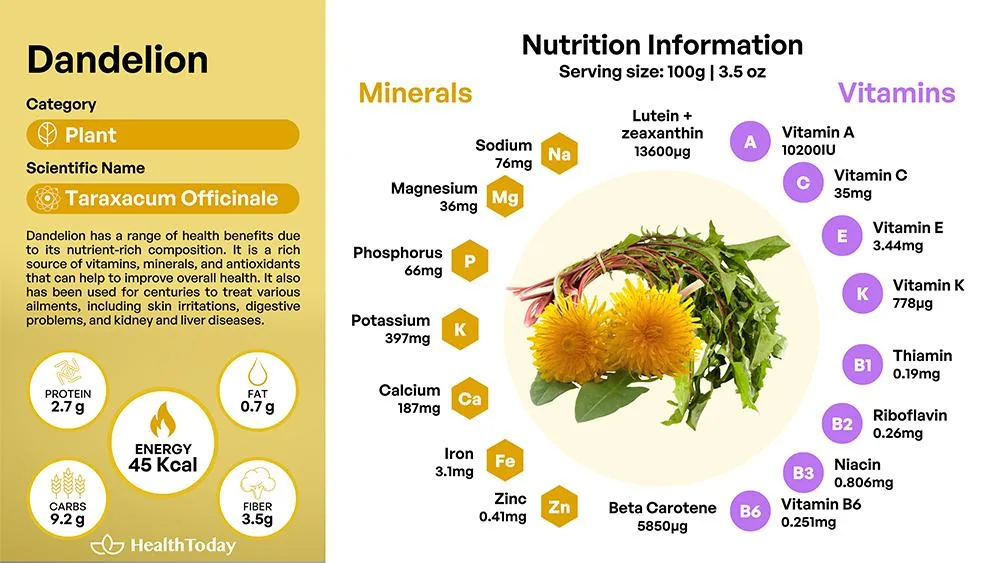 dandelion_benefits