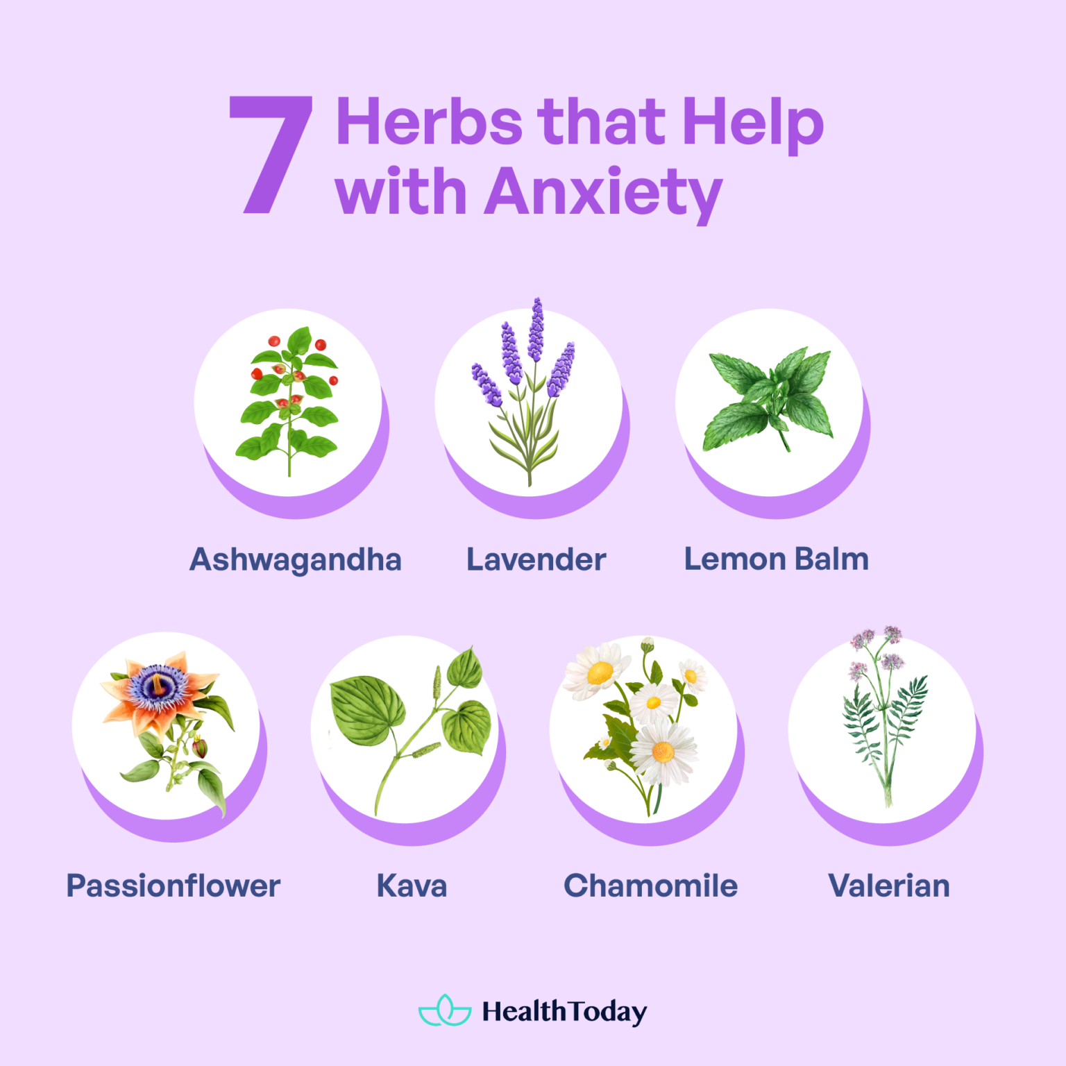 The Best Herbs That Help With Anxiety and Stress