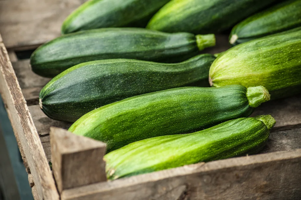 Does-Zucchini-Have-Vitamin-K