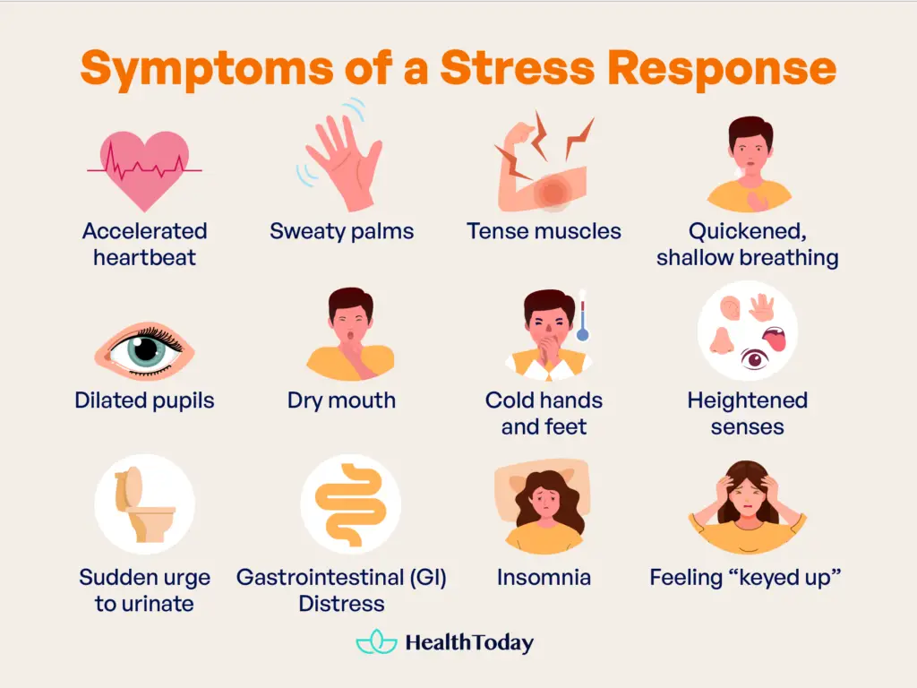 How To Suppress Fight or Flight Response 5 Ways May Help You 02