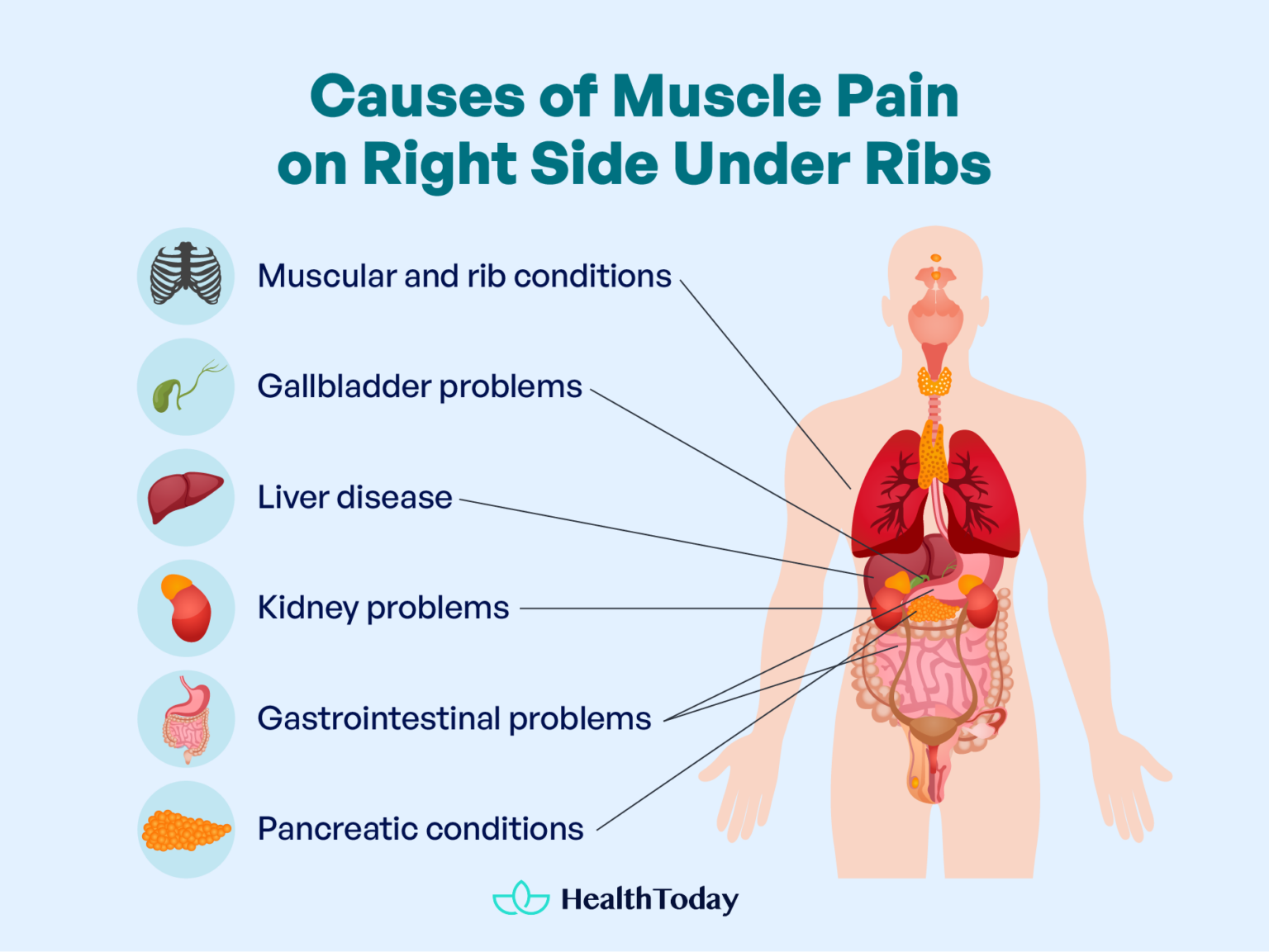 Muscle Pain on Right Side Under Ribs When to Worry