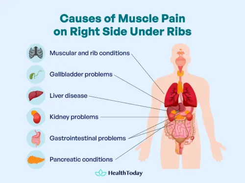 Near Rib Muscle Strain Muscle Pain on Right Side Under Ribs: When to Worry