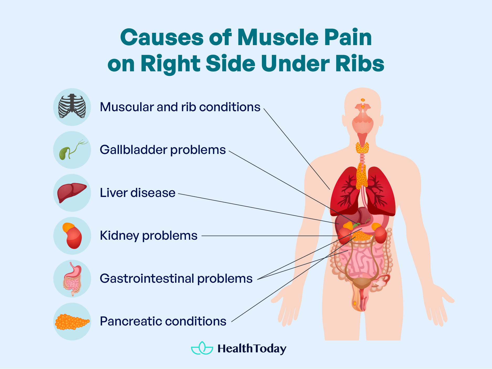 Muscle Pain on Right Side Under Ribs When to Worry 02