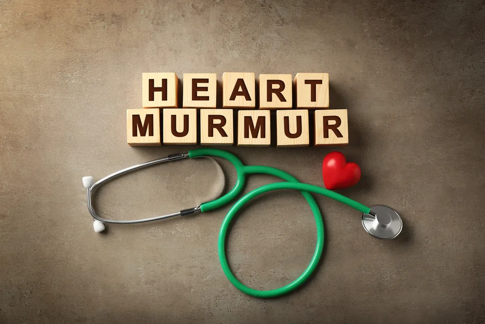 What-Causes-Heart-Murmurs