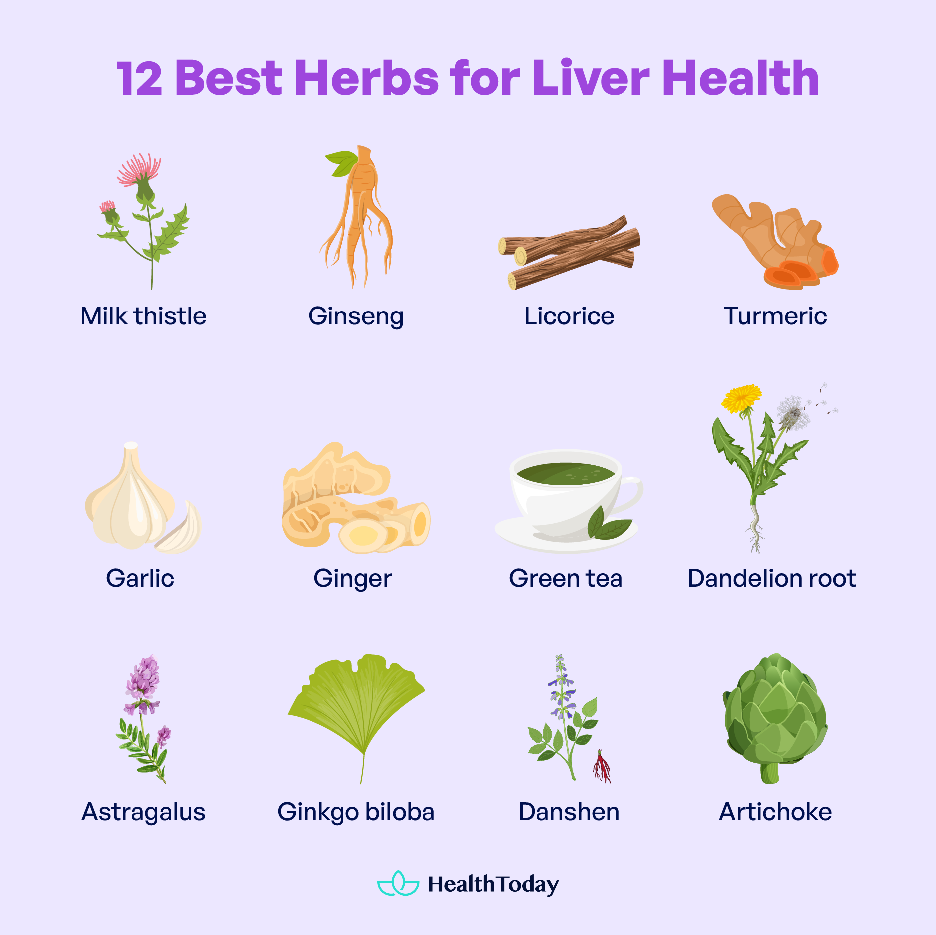 Herbs Good for Liver 01