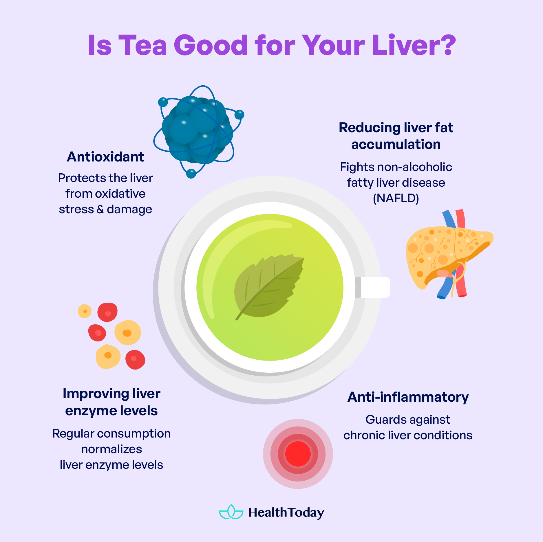Herbs Good for Liver 12 Herbs You Should Know 02